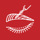 Kaş-Kirpik Bakımı