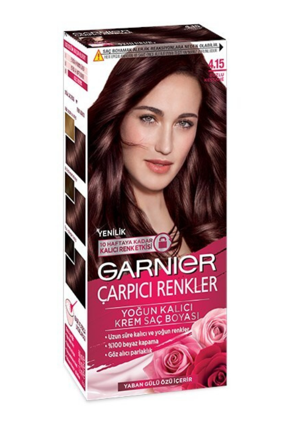 Garnier Çarpıcı Renkler 4.15 Buzlu Kestane - Garnier 